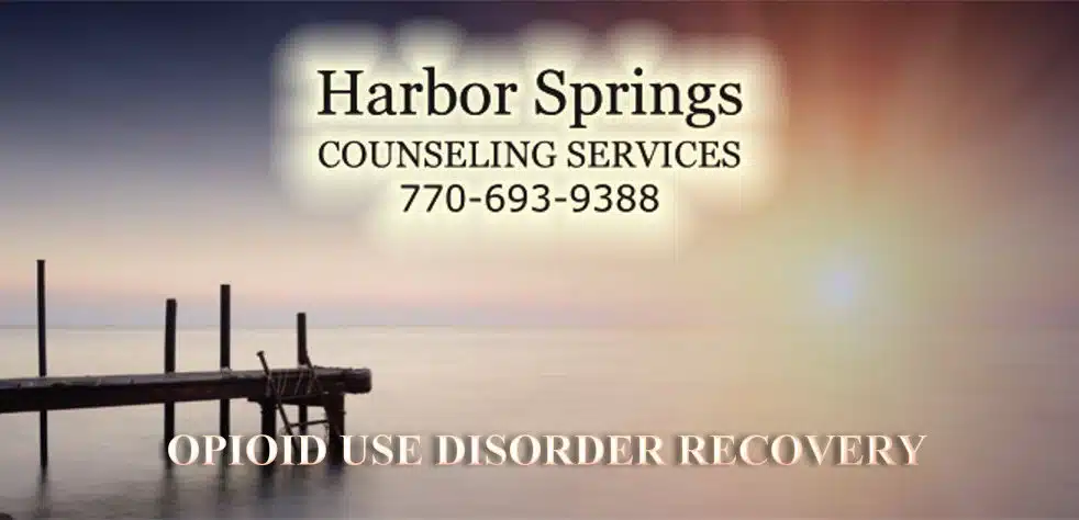 Harbor Springs Counseling Services