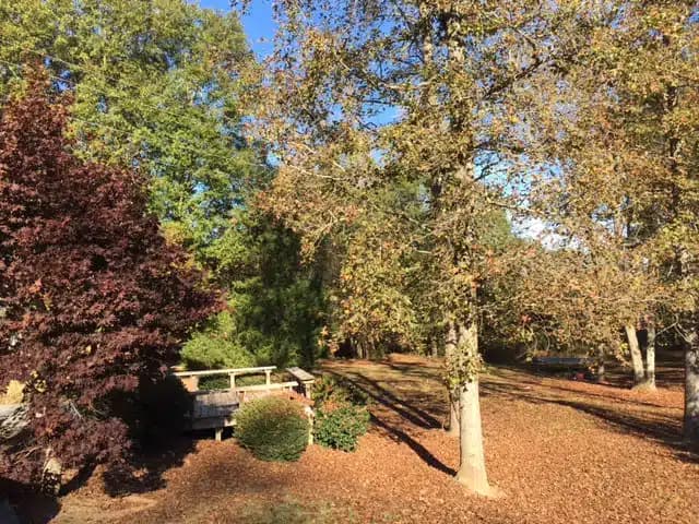 Penfield Addiction Ministries