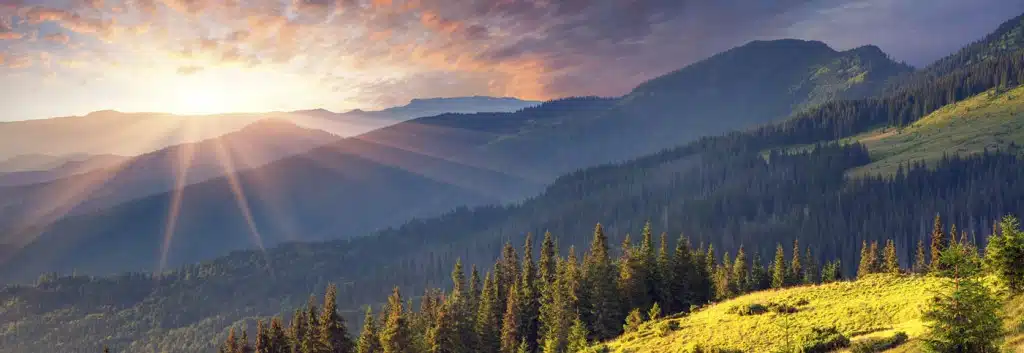 Pyramid Healthcare Inc - Preview